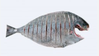Black Pomfret/Karutha Avoli Slice Cut,(500g),Gross Weight Before Cleaning/Cutting